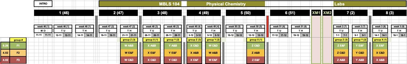 P2-MBLS104 timeline