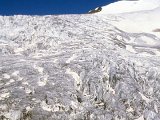 img041.jpg
