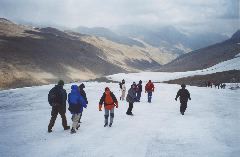 Along the glacier