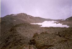 imm028