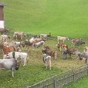 Karthaus