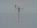 awsbi_2_200401_1.JPG