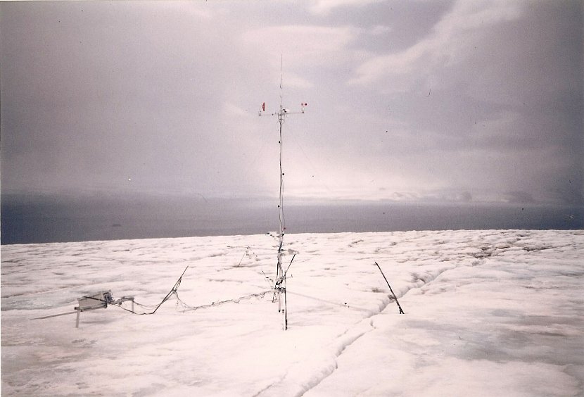 Ecology_1990
