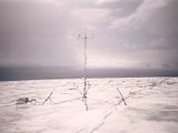 Ecology_1990.jpg