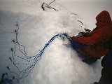 Ecology_1990_temp.jpg
