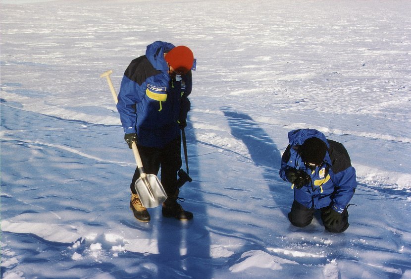 antarctica_8_2