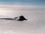 antarctica_19_1.jpg