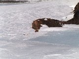 antarctica_20_2.jpg