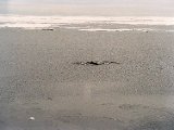 antarctica_2_3.jpg