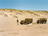 Trucks_1990.jpg