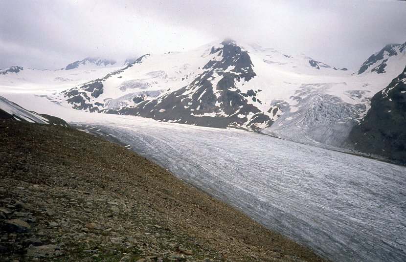 img005