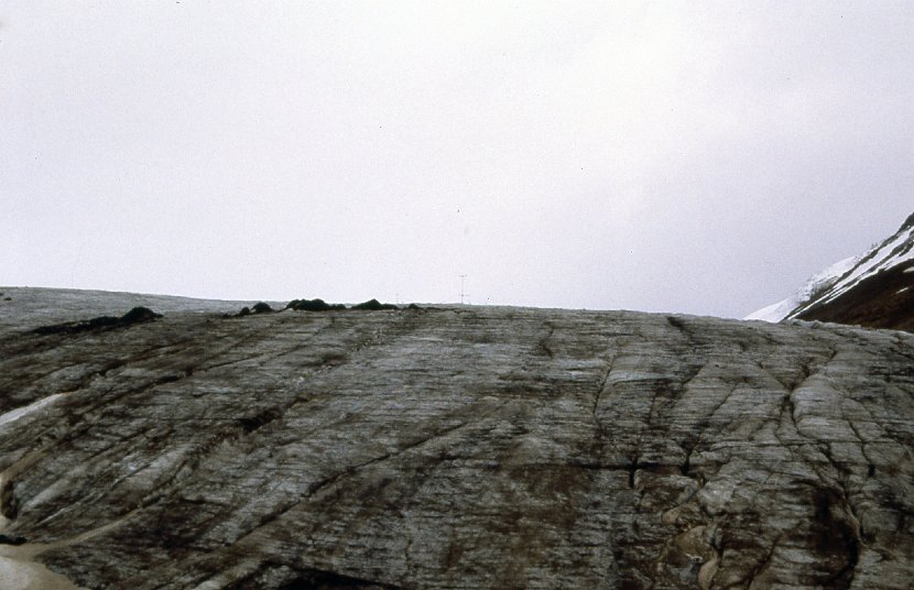 img007