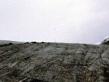 img007.jpg