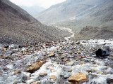img011.jpg