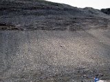 img015.jpg