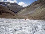 img_004.jpg