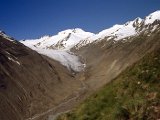 img_005.jpg