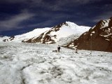 img_011.jpg