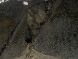 img_019.jpg