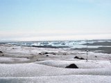 img_1_005.jpg