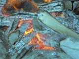 img_1_013.jpg