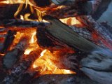 img_1_014.jpg