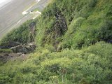 img_2_006.jpg