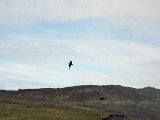 img_2_011.jpg