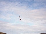 img_2_013.jpg