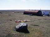 img_wg_006.jpg