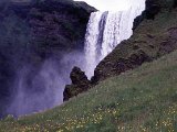 img_wg_008.jpg