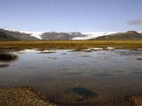 img_wg_011.jpg