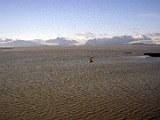 img_wg_013.jpg