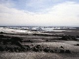 img_wg_014.jpg