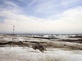 img_wg_015.jpg