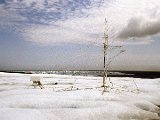 img_wg_030.jpg
