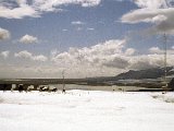 img_wg_032.jpg