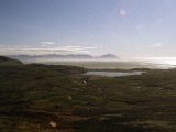 img_wg_041.jpg