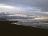img_wg_056.jpg