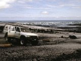 img_wg_063.jpg