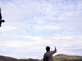img_wg_066.jpg