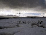 img_wg_077.jpg