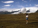img_wg_081.jpg