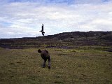 img_wg_096.jpg
