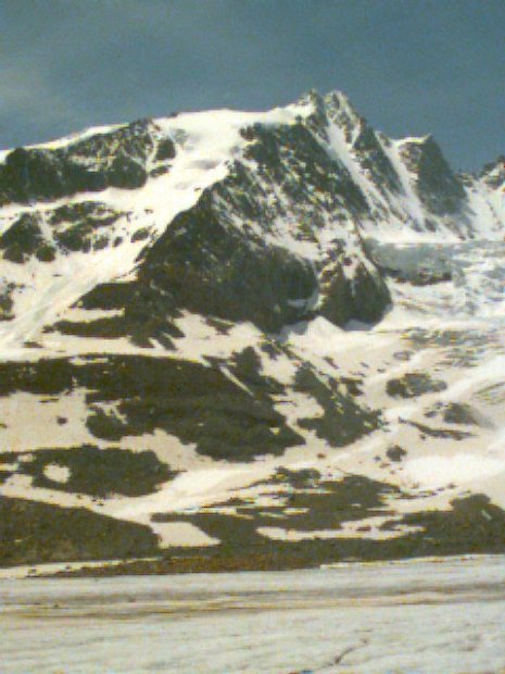 19940619-Image_4