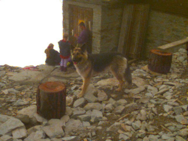 19940715-Image_7