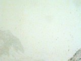 19940609-Image_3.jpg