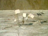 19940714-Image_33.jpg
