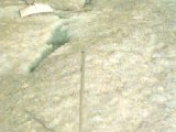 19940714-Image_34.jpg