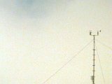 19940715-Image_2.jpg